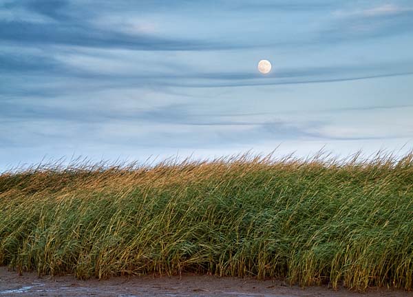 Cape Cod Beach Art for the office