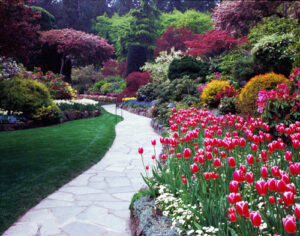 Garden & walkway office art